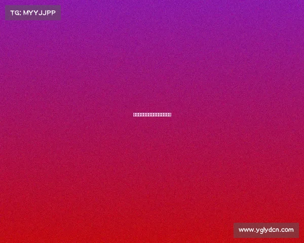 当前篮球赛事—当今篮球主要赛事